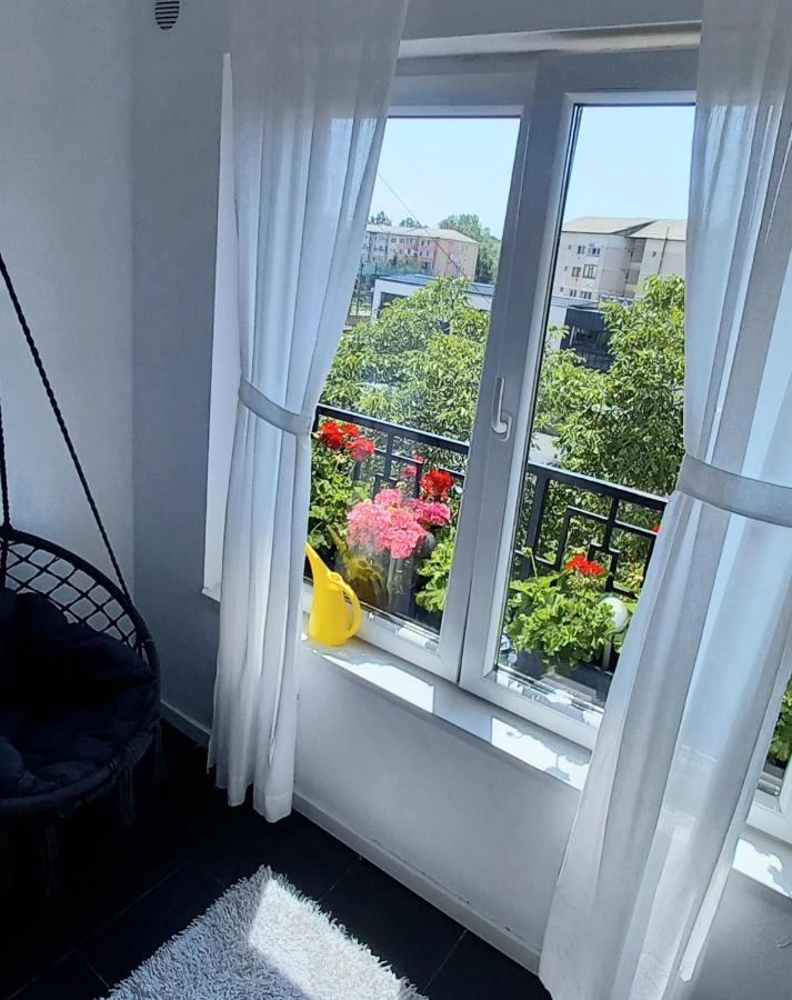 33 Coquette Apartment Baia Mare Exterior photo